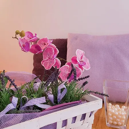 Stella Marina 2 ヴェネツィア